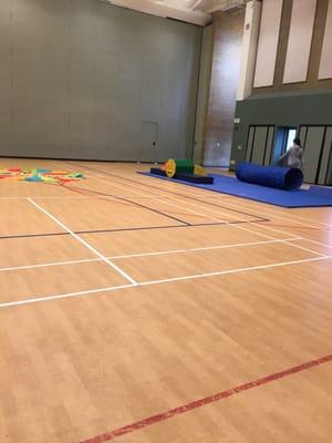 Big gym set up for the littles