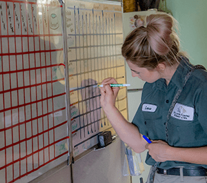 Detailed schedules and notes for each canine guest. Food, water, play, walk, rest, repeat!