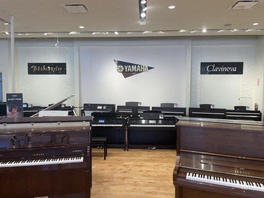 Premier digital pianos located in Easton Gateway