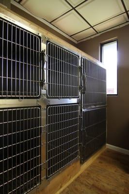 Recovery kennels.