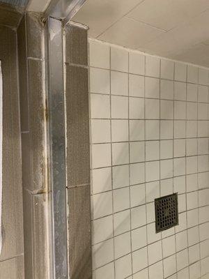 Mold in shower