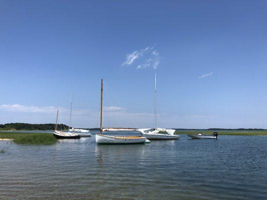 Beach picnic party on Little Sipson Island