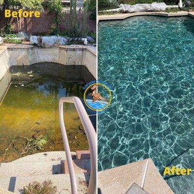 Before and after pool green