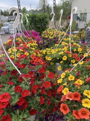 Patrick's Landscaping & Garden Center