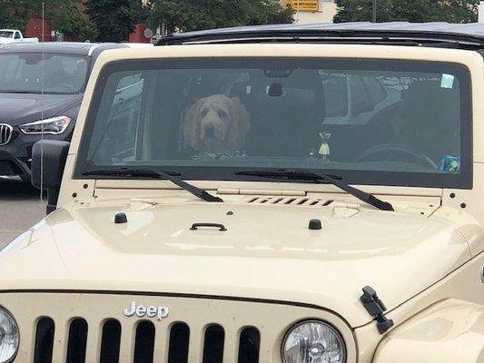 Maggie is waiting to roll top off.