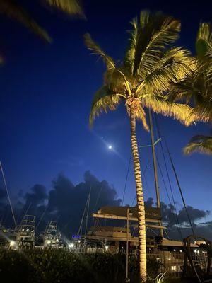 Night at the marina while dining