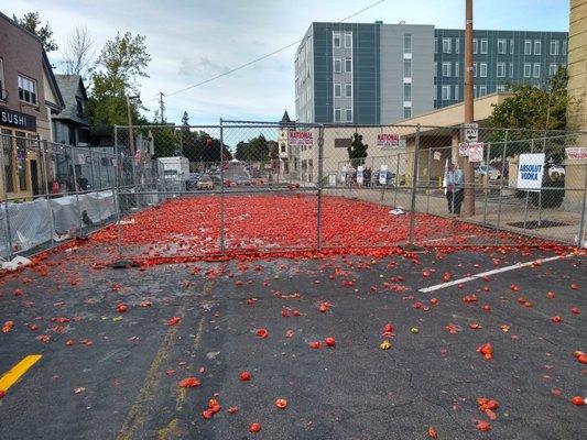 The aftermath! Notice the tomatoes stuck I the chainlink fence.