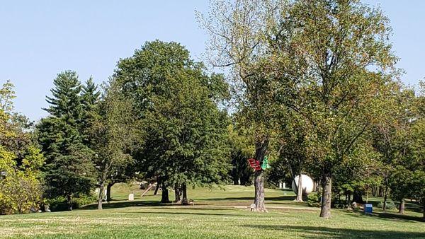 Sculpture Park