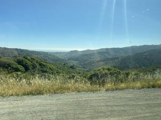 Taken through the van window, this is a view of the forest valley below.