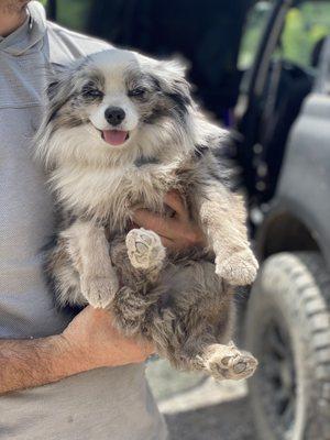 Dusty butt. So happy after a long hike, but not fit to be let in the tent.