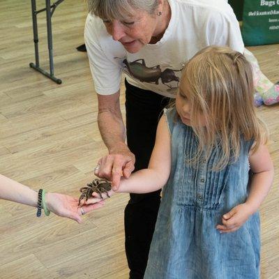 Houston Museum of Natural Science - Bugs on Wheels annual visit