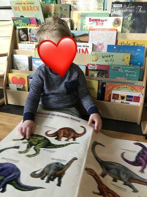 Looking at a book on dinosaurs