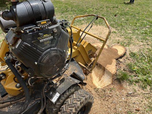 Stump Grinding