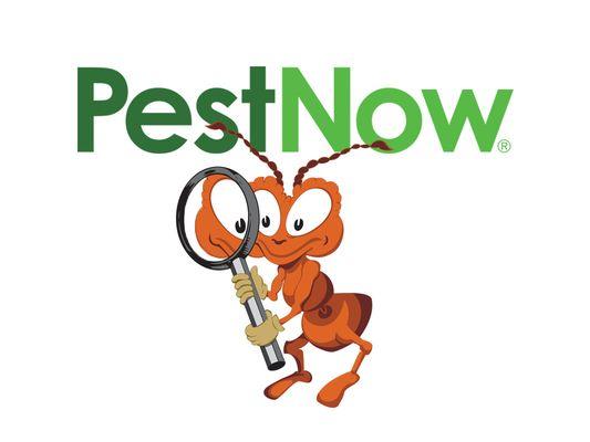 PestNow