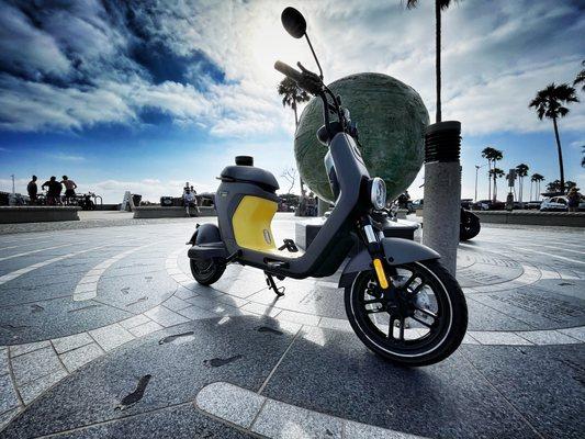 The Segway-Ninebot C80 is an outstanding Ebike/Scooter we sell and rent!