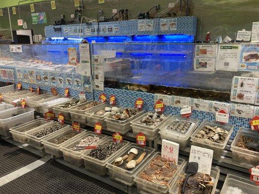 Many kinds of fresh seafood including jellyfish, snail, lobsters, crawfish, clams, etc.