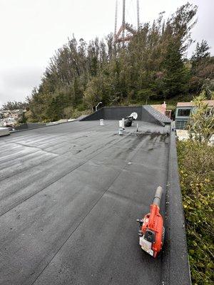 Roof Cleanup - After