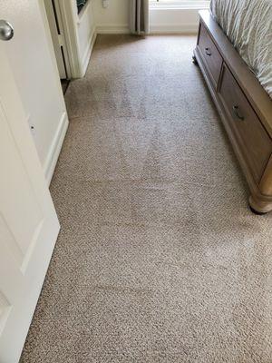 Excellent work on this pet stained carpet by Pacificpro!