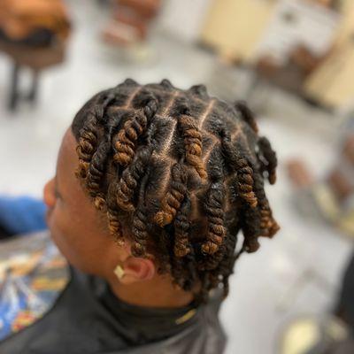 Two Strand Twists
Stylist - Meiko
Mane Topic Hair