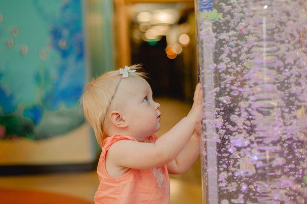 The Bubble Wall is a wonder-filled spot for little guests to Adventure Dental.