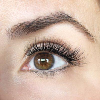 hybrid lashes