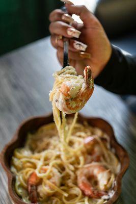 Pasta Alfredo with delicious shrimp.