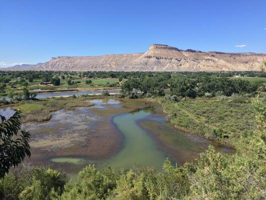 Nestled on the edge of Orchard Mesa!