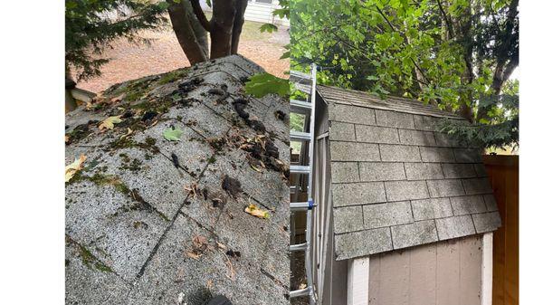 Roof Cleaning