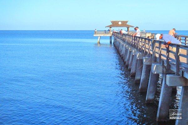 Catch a trophy fish from the Naples pier, or any of Naples other fishing destinations - you can catch anything from a snook to a snapper!