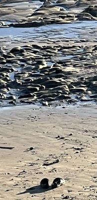 During low tide, you can explore the tide pools.