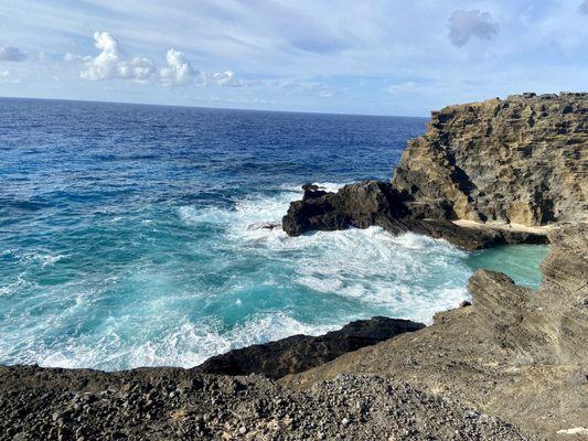 Blowhole area