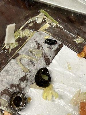 Ordered a salad from the deli and ate the whole thing only to find out that one of my last "olives" was a dead fly.