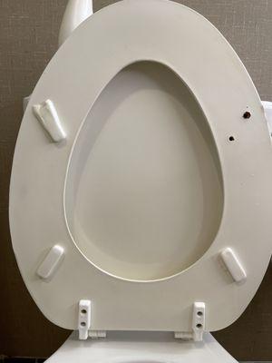 Toilet seat broken