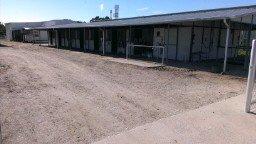 Our Barn A with 12X12 Box stalls, automatic waters, rubber matte floors, and fly in each stall. The stalls are all steel construction