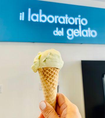 Tarragon gelato