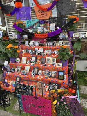 Día de Muertos outside of Shampooch