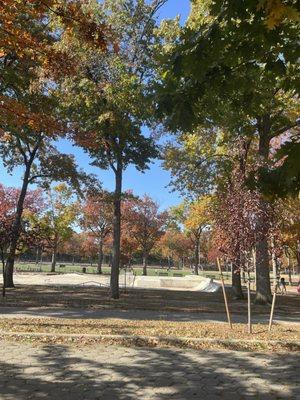 Williamsbridge Oval