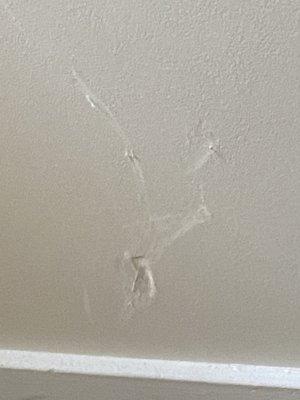 Wall damage