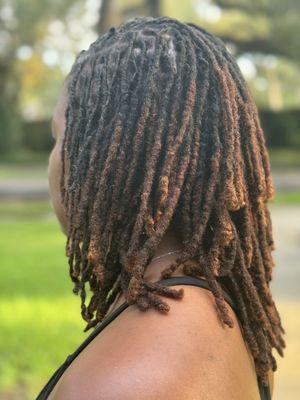 Loc retwist