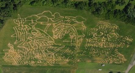 2014 "Big" Corn Maze.  8 miles long. Yes, they sell you a map for an additional $1.