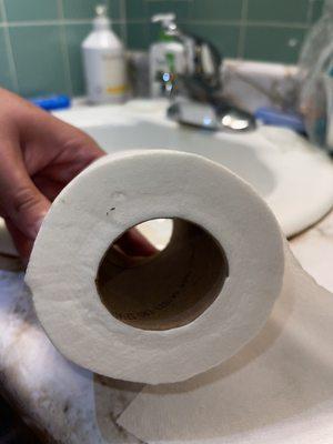 Bugs all over toilet paper.