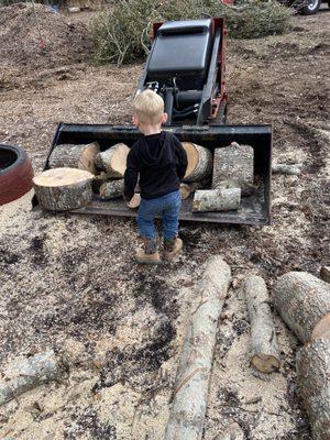 Grandson helping move firewood.