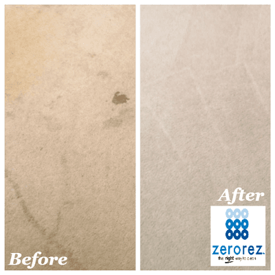 Before and After Carpet Cleaning with Pet Treatment and Protectant