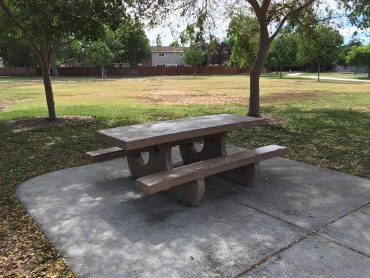 Lone picnic table