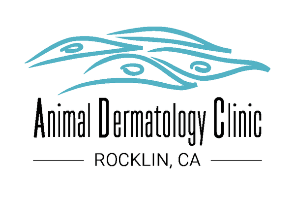 Animal Dermatology & Allergy