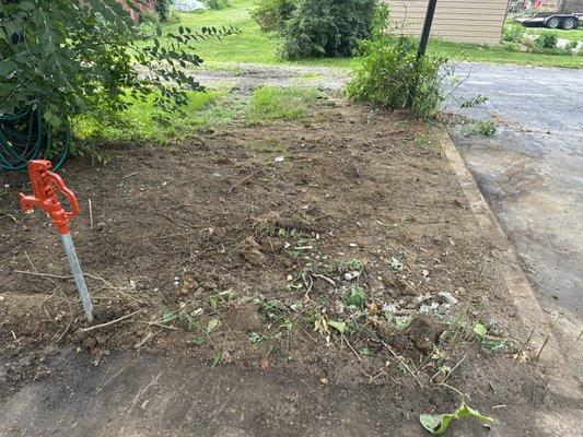 House hydrant with bushes removed