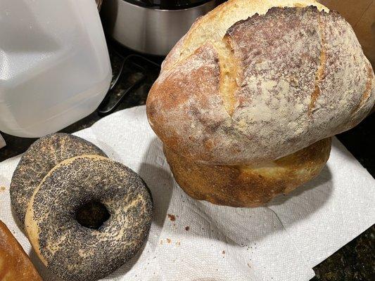 So many delicious options like poppy seed bagels and boule !