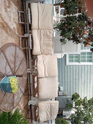 Cleaned mold off patio furniture