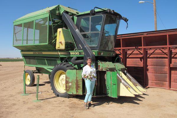 Caywood Cotton Farm,