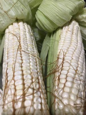 Estos élotes no se pueden comer ya están secos